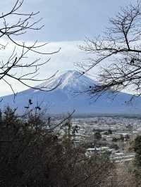 一日行程體驗🗻富士山🗻