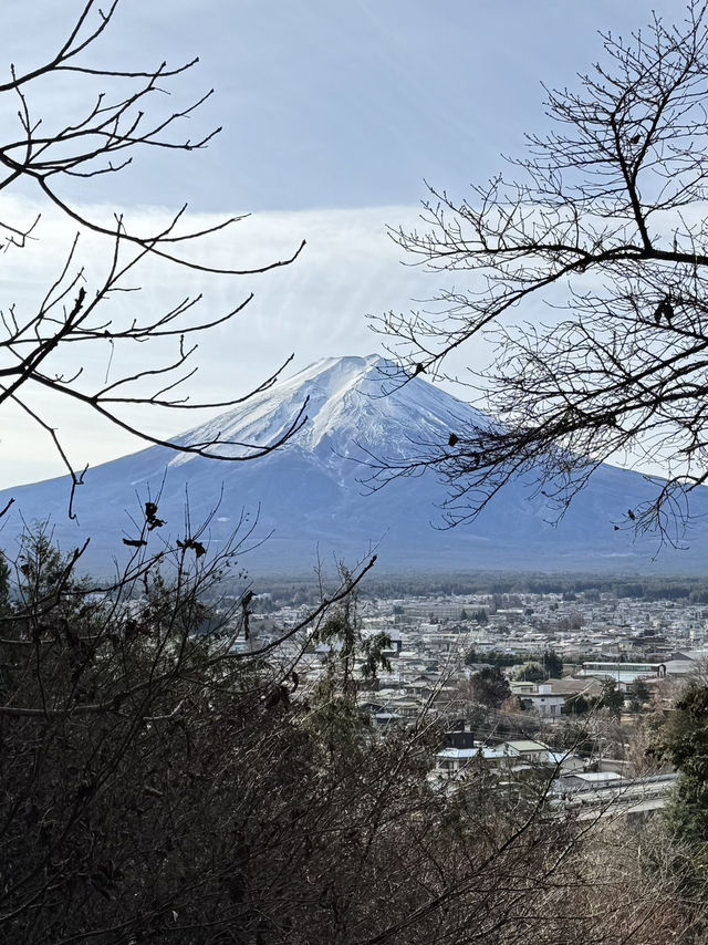 一日行程體驗🗻富士山🗻
