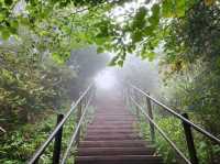 Nature Break in Boeun