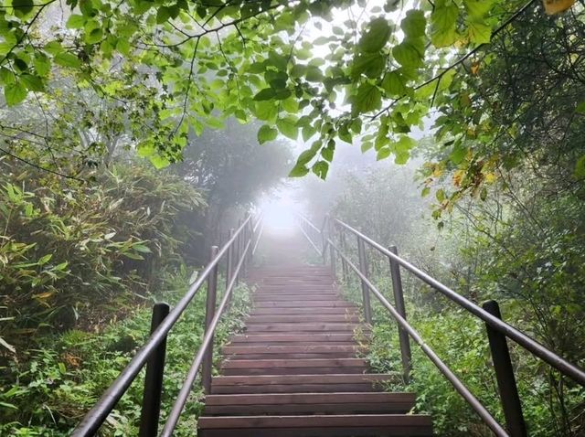 Nature Break in Boeun