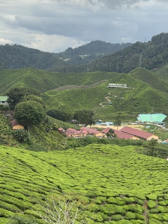 Cameron Valley 