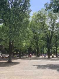 도쿄에서 가장 살고싶은 마을 기치죠지🏠🏡