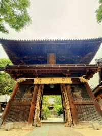 松山｜四國遍路最靈驗的石手寺 神秘智慧之輪、能量石傳說