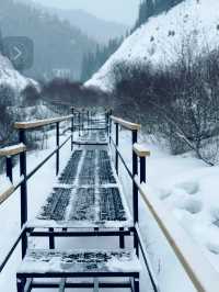 Frozen Dreams: A Winter Escape to Lake Kaindy
