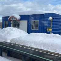 道南いさりび鉄道の旅