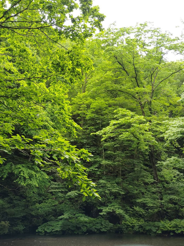📍【青森・十和田湖】神秘の湖とアートが響き合う、静寂と感動の地
