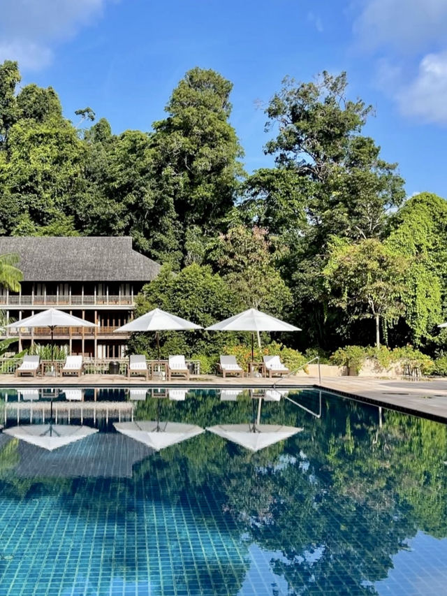 Luxury in the wild 
