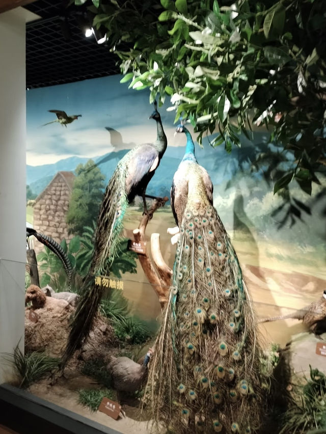 A Living Legacy of Agriculture – My Visit to the South China Agricultural Museum (华南农业博物馆)