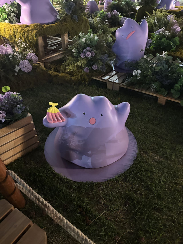 チャムシルのポケモンコラボ！！