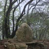 Guryongsan & Gwanryongsan Tag-Team Hike in Gyeongsangnam-do
