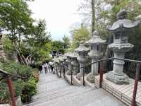 座落海邊的美麗海東龍宮寺