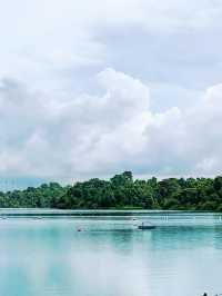 MacRitchie Reservoir 