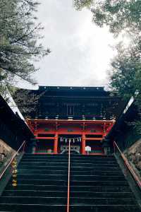 🚼松林中的祈願聖地：德川家康也來參拜的六所神社⛩️