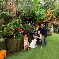 Snow White Magic: A Sydney Icon