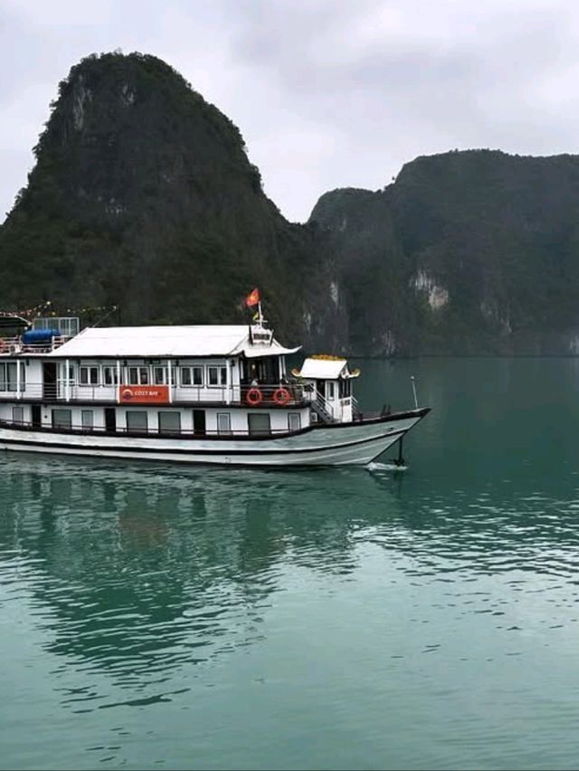 ⛵🌅 Sail into a Dream! | Halong Bay Cruise Adventure 🇻🇳✨