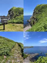 【保存版】北海道利尻島２泊３日の旅✨