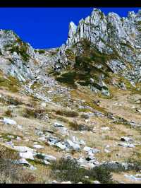 🏔️長野・駒ヶ根高原｜アルプスの麓で、癒しと冒険の両方を楽しむ高原ステイ 