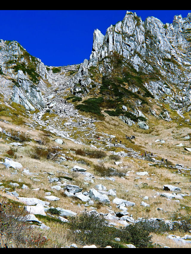 🏔️長野・駒ヶ根高原｜アルプスの麓で、癒しと冒険の両方を楽しむ高原ステイ 