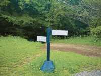 น้ำตก Shirato (Shiraito Falls / 白糸の滝) 