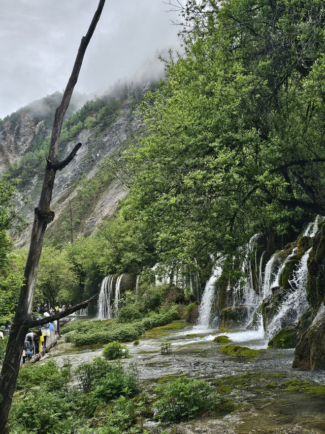 Ultimate Jiuzhaigou Valley Guide: China's Most Breathtaking UNESCO Paradise
