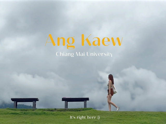 🌿 อ่างแก้ว มช. – มุมพักใจกลางเมืองเชียงใหม่ 💚