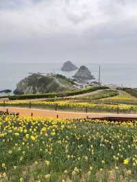 Oryukdo Skywalk: A Busan Must-Visit !