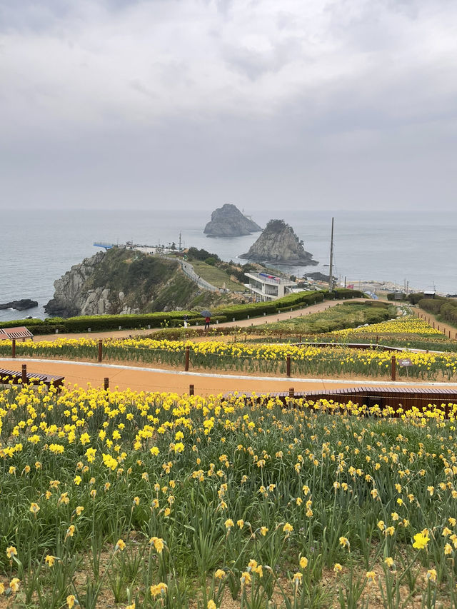 Oryukdo Skywalk: A Busan Must-Visit !