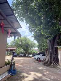 📍ฮ้านถึงเจียงใหม่ อาหารเหนือที่มีดีกรีมิชลิน