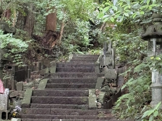 【静寂に包まれる祈りの空間🙏】鎮国寺で心を整える癒し旅