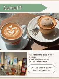 🇰🇷🌳ソウルの森！本命カフェ5選