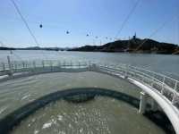 Bridging History at Jindo Bridge