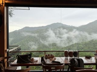 First Valley Coffee Estate – 멋진 풍경과 함께하는 훌륭한 커피