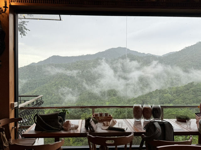 First Valley Coffee Estate – กาแฟดี วิวหลักล้าน