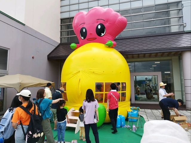 【体験レポ】足寄で開催！足寄ふるさとラワンブキまつりに行ってきました🌱✨