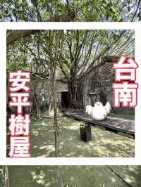 【台湾】台南の樹に飲み込まれた家【安平樹屋】