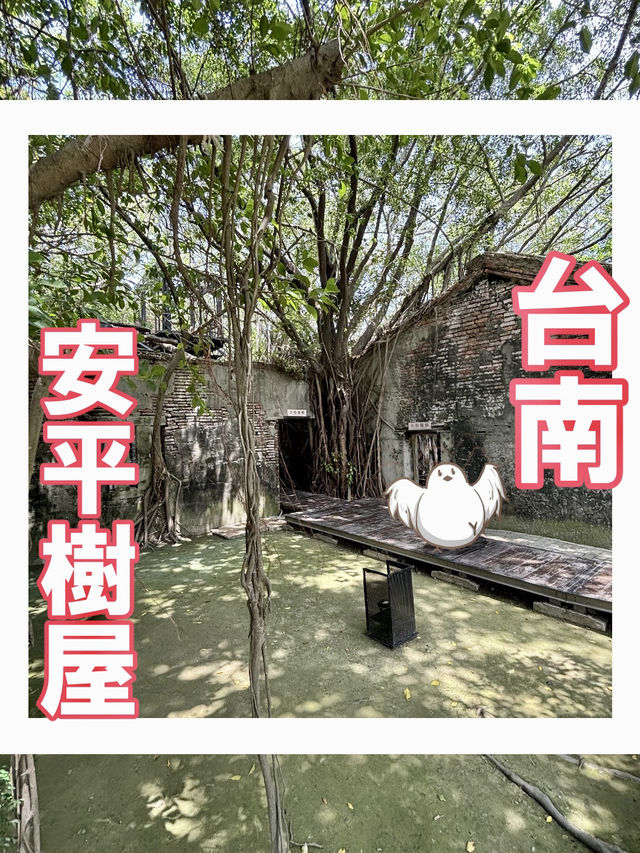 【台湾】台南の樹に飲み込まれた家【安平樹屋】