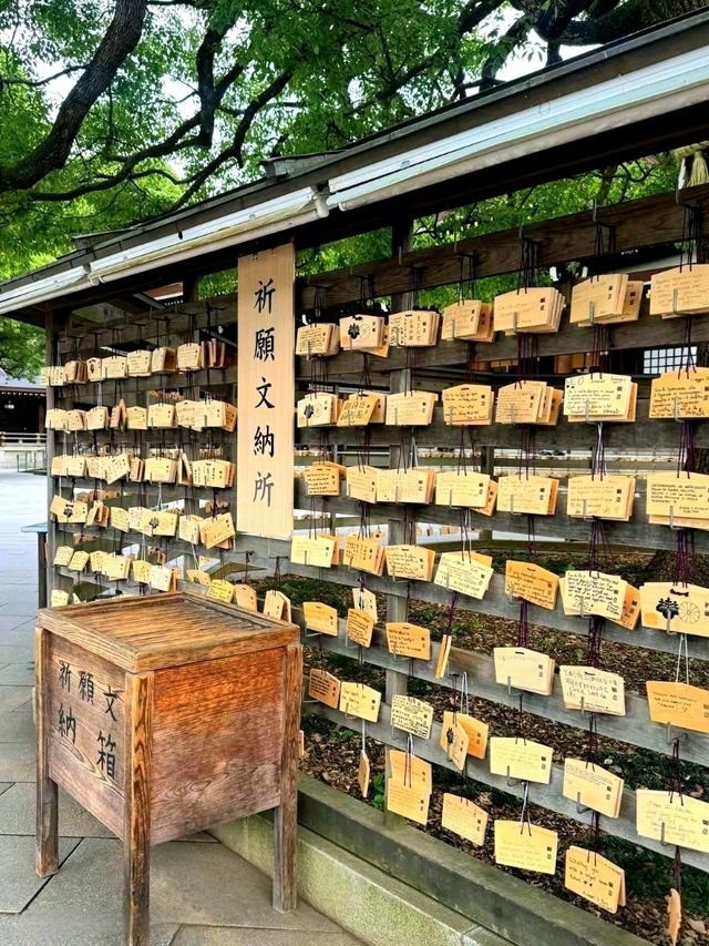 Peace in the Heart of Tokyo: Meiji Jingu Shrine