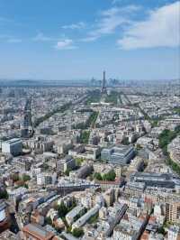 Paris from the Clouds: Montparnasse Magic