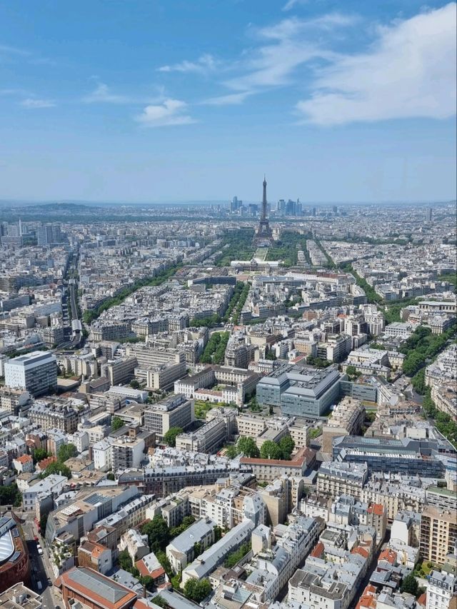 Paris from the Clouds: Montparnasse Magic