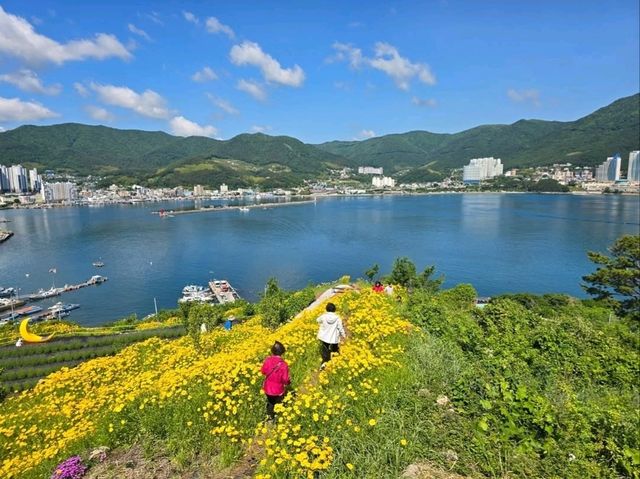 Flower Vibes at Jisepo