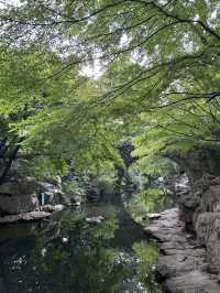 Summer Hangzhou in green