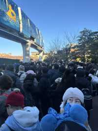 🪄【東京迪士尼海洋 Tokyo DisneySea｜2024年12月再訪體驗】🎠🌊🎆 ⭐️⭐️⭐️⭐️⭐️｜超值推薦・新園區必搶・貼心小貼士大放送！