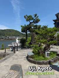 Uji เมืองแห่งชาเขียว