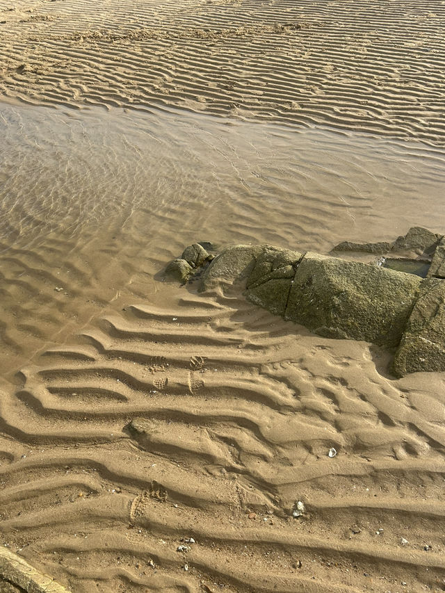 🌅 일몰이 아름다운 휴식처, 썬셋클리프