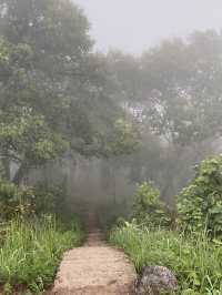 อุทยานแห่งชาติดอยขุนตาล