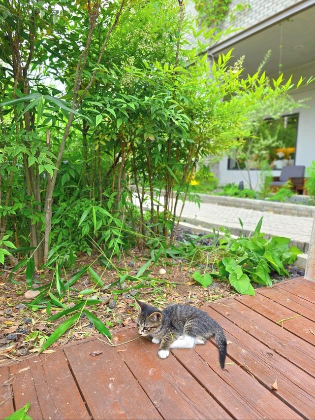 여름향기가 낭만적인 상주 정원카페🌿