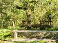 林田山 林業文化園區 🌳