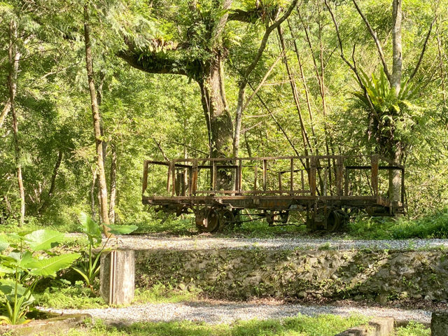 林田山 林業文化園區 🌳