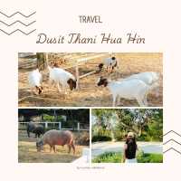 Dusit Thani Hua Hin 🌴🌅  🏨 รีสอร์ต