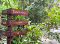 🌿 ธารชีวี แม่แมะ – หลงรักธรรมชาติในทุกลมหายใจ 🍃